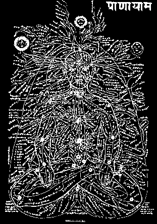 人体の全身に張り巡らされたナディを描いた図